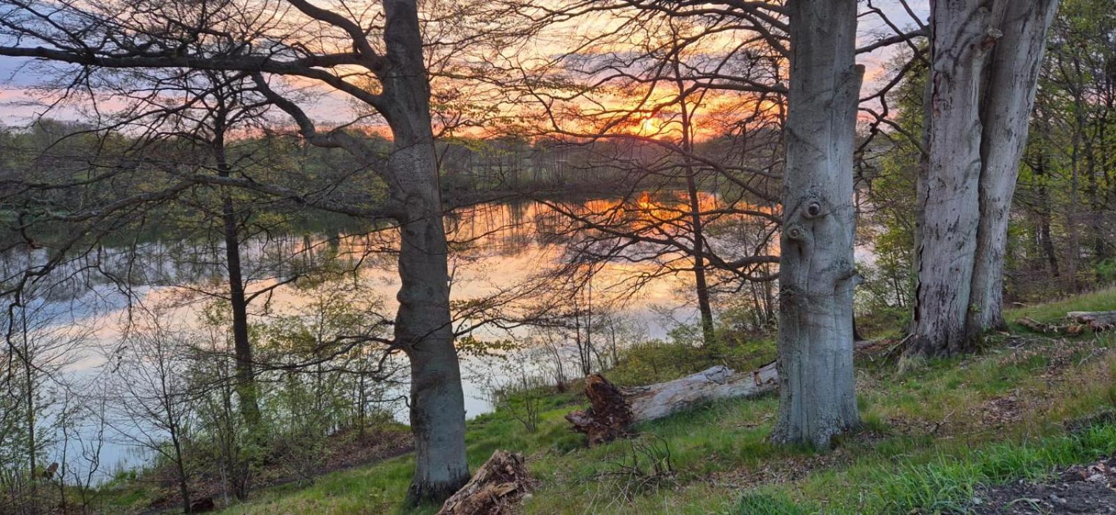 Domek Nad Jeziorem Bystrzyna Swidwin Экстерьер фото
